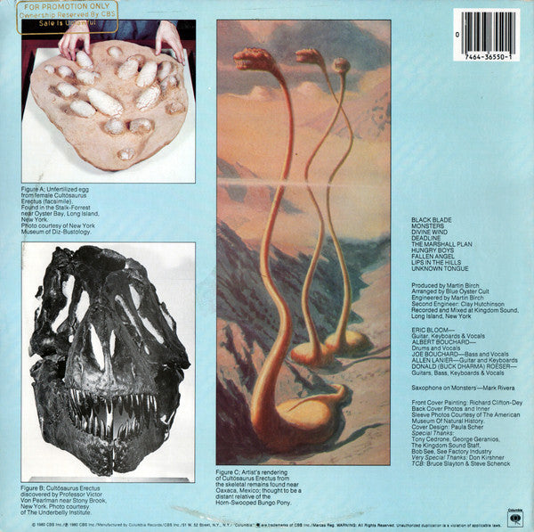 Blue Öyster Cult – Cultosaurus Erectus