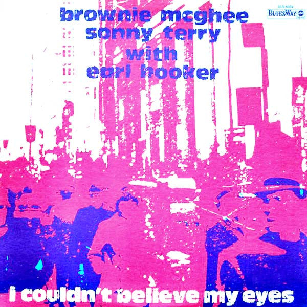 Brownie McGhee And Sonny Terry With Earl Hooker - I Couldn't Believe My Eyes | Vintage Vinyl