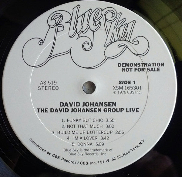 David Johansen - The David Johansen Group Live | Vintage Vinyl