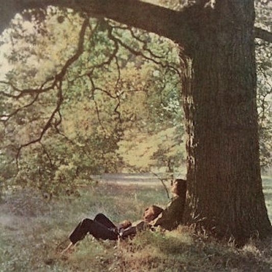 John Lennon & Plastic Ono Band - John Lennon / Plastic Ono Band | Vintage LP