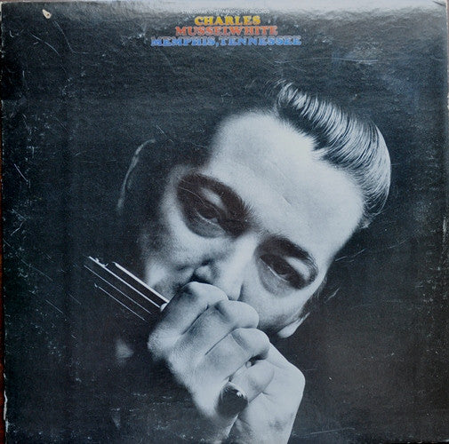 Charles Musselwhite - Memphis, Tennessee | Vintage Vinyl