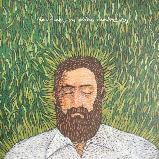Iron + Wine – Our Endless Numbered Days | Used LP