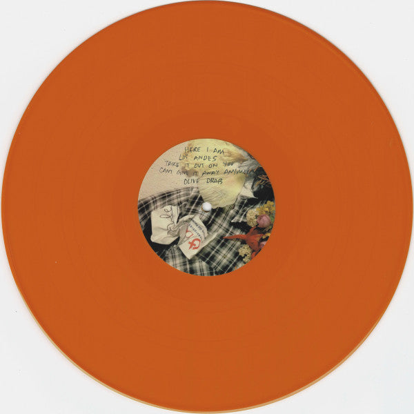 Matt Lamkin – Where I'm Matt | Vinyl LP