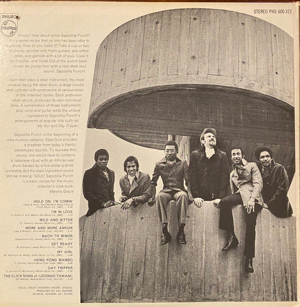 Sapodilla Punch – Steel Soul | Vintage LP