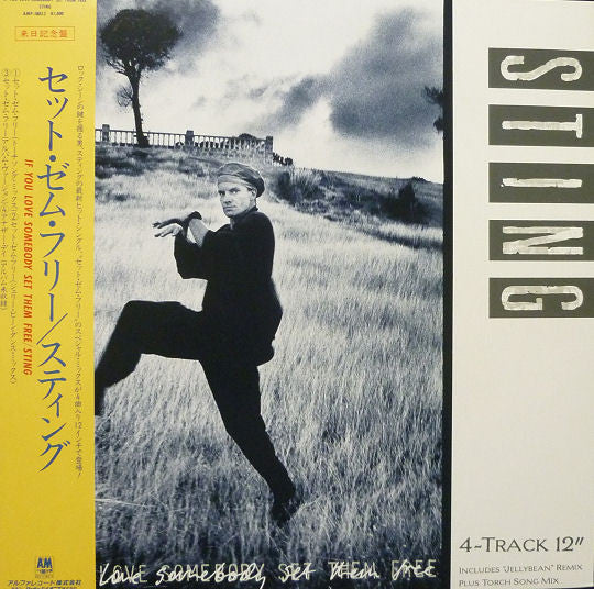 Sting – If You Love Somebody Set Them Free | Vintage LP